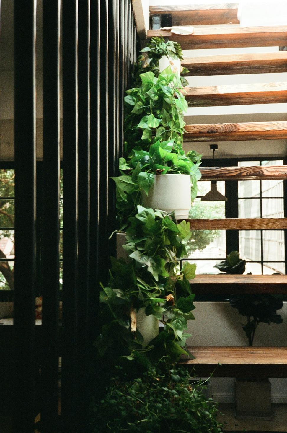Sustainable Home