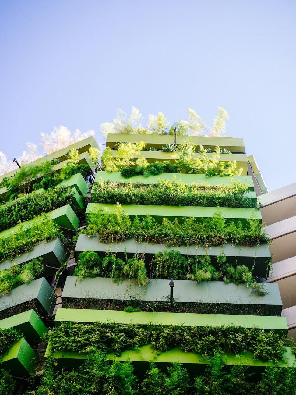 Sustainable Building Process
