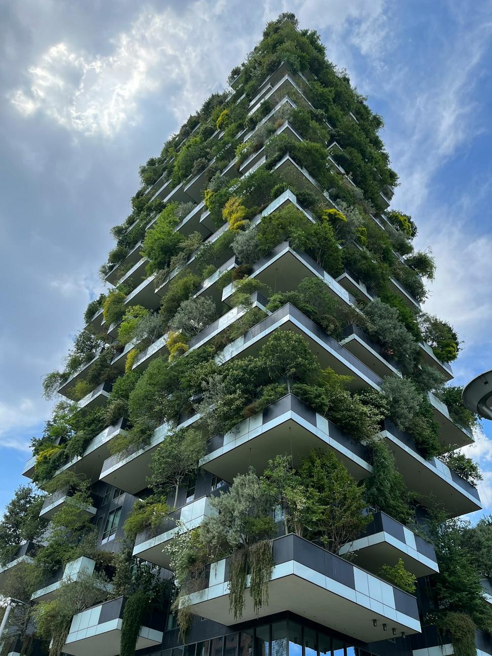 Sustainable Design Process